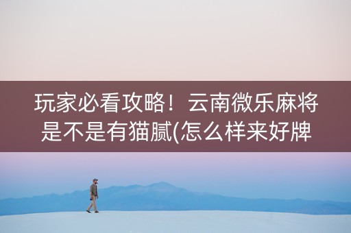 玩家必看攻略！云南微乐麻将是不是有猫腻(怎么样来好牌)