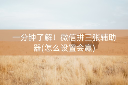 一分钟了解！微信拼三张辅助器(怎么设置会赢)