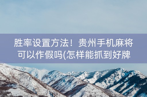 胜率设置方法！贵州手机麻将可以作假吗(怎样能抓到好牌)