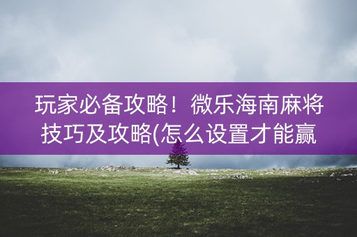 玩家必备攻略！微乐海南麻将技巧及攻略(怎么设置才能赢)
