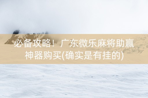 必备攻略！广东微乐麻将助赢神器购买(确实是有挂的)