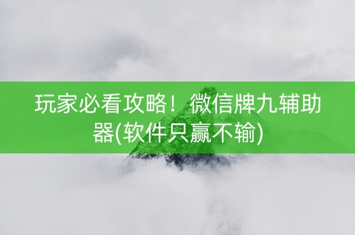 玩家必看攻略！微信牌九辅助器(软件只赢不输)