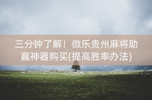 三分钟了解！微乐贵州麻将助赢神器购买(提高胜率办法)
