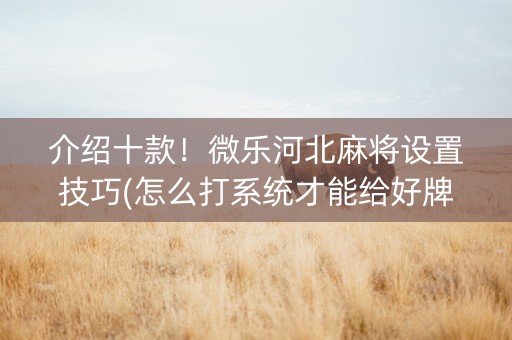 介绍十款！微乐河北麻将设置技巧(怎么打系统才能给好牌)