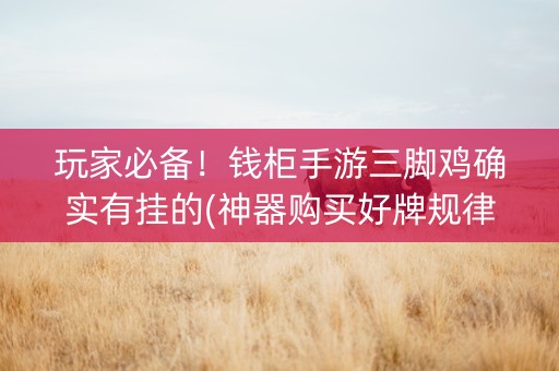 玩家必备！钱柜手游三脚鸡确实有挂的(神器购买好牌规律)