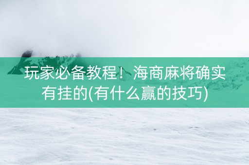 玩家必备教程！海商麻将确实有挂的(有什么赢的技巧)