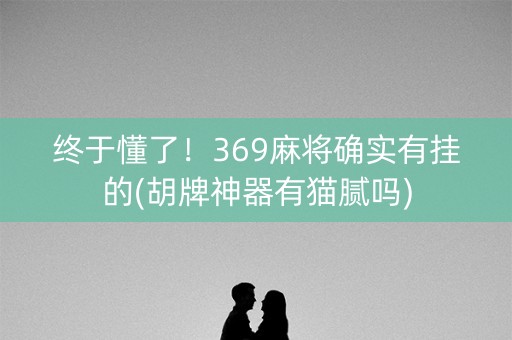 终于懂了！369麻将确实有挂的(胡牌神器有猫腻吗)