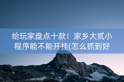 给玩家盘点十款！家乡大贰小程序能不能开挂(怎么抓到好牌)