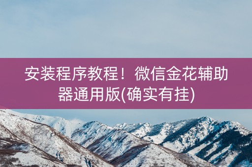 安装程序教程！微信金花辅助器通用版(确实有挂)