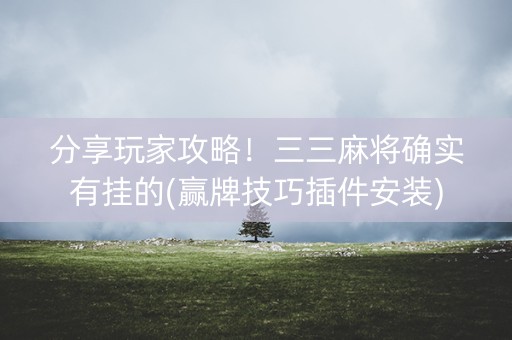 分享玩家攻略！三三麻将确实有挂的(赢牌技巧插件安装)