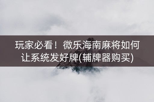 玩家必看！微乐海南麻将如何让系统发好牌(辅牌器购买)
