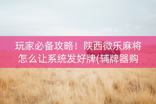 玩家必备攻略！陕西微乐麻将怎么让系统发好牌(辅牌器购买)