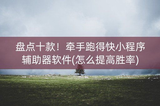 盘点十款！牵手跑得快小程序辅助器软件(怎么提高胜率)