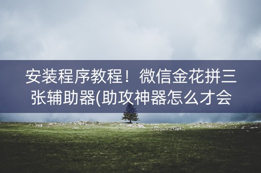 安装程序教程！微信金花拼三张辅助器(助攻神器怎么才会赢)