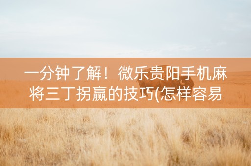 一分钟了解！微乐贵阳手机麻将三丁拐赢的技巧(怎样容易赢)