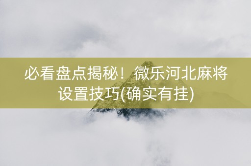 必看盘点揭秘！微乐河北麻将设置技巧(确实有挂)