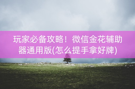 玩家必备攻略！微信金花辅助器通用版(怎么提手拿好牌)