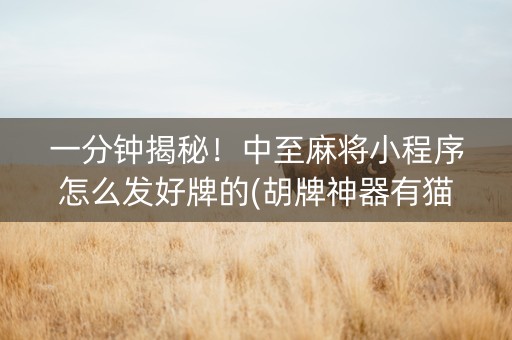 一分钟揭秘！中至麻将小程序怎么发好牌的(胡牌神器有猫腻吗)