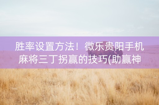 胜率设置方法！微乐贵阳手机麻将三丁拐赢的技巧(助赢神器)