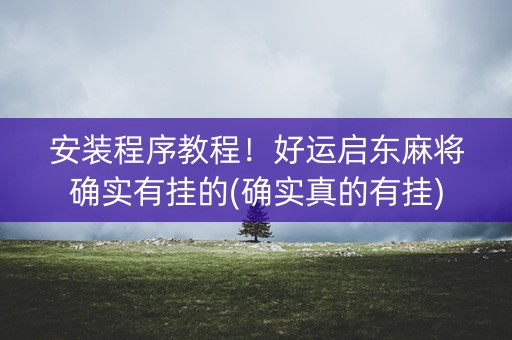安装程序教程！好运启东麻将确实有挂的(确实真的有挂)