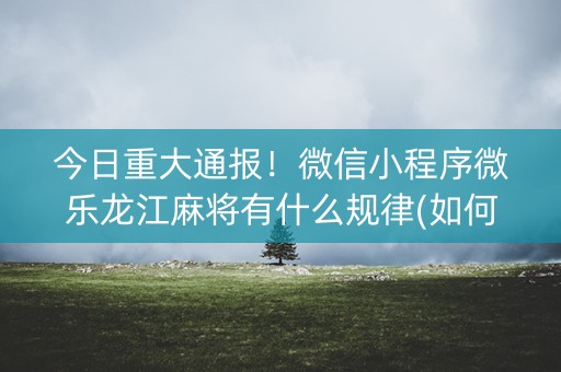 今日重大通报！微信小程序微乐龙江麻将有什么规律(如何提高胡牌率)