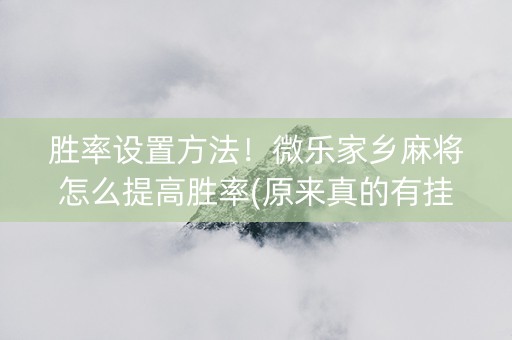 胜率设置方法！微乐家乡麻将怎么提高胜率(原来真的有挂)