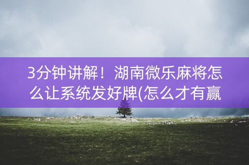 3分钟讲解！湖南微乐麻将怎么让系统发好牌(怎么才有赢的几率)