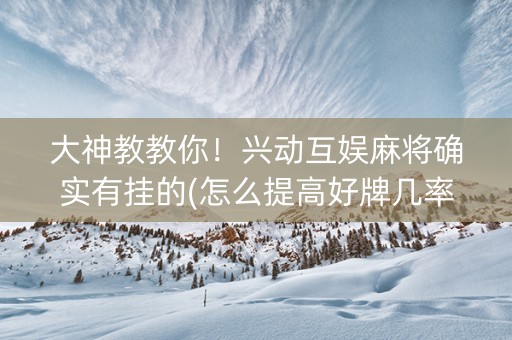 大神教教你！兴动互娱麻将确实有挂的(怎么提高好牌几率)