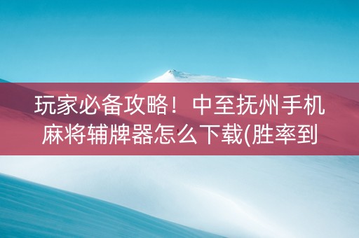 玩家必备攻略！中至抚州手机麻将辅牌器怎么下载(胜率到哪调)