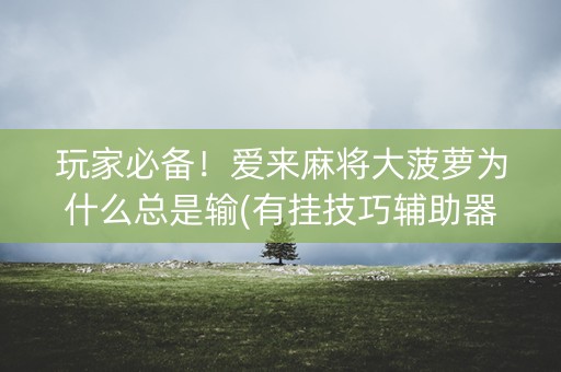 玩家必备！爱来麻将大菠萝为什么总是输(有挂技巧辅助器)