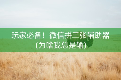 玩家必备！微信拼三张辅助器(为啥我总是输)