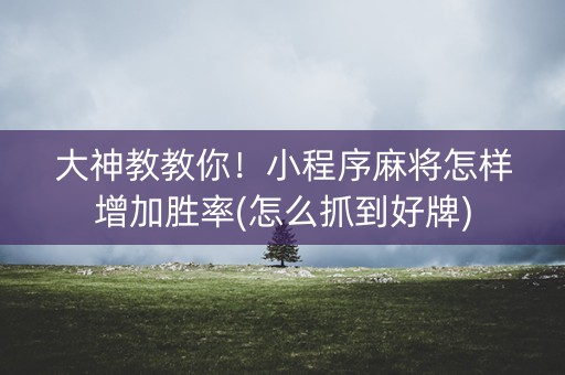 大神教教你！小程序麻将怎样增加胜率(怎么抓到好牌)