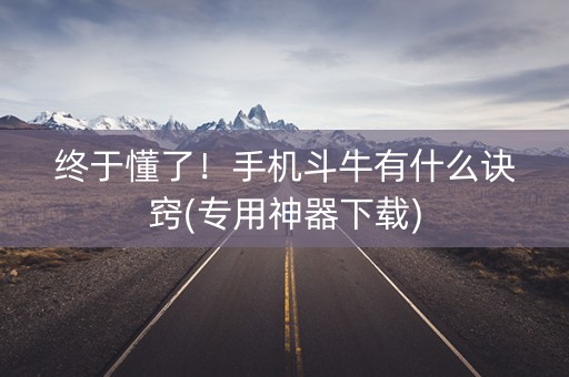 终于懂了！手机斗牛有什么诀窍(专用神器下载)