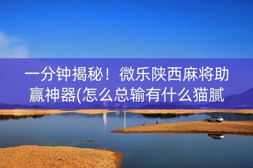 一分钟揭秘！微乐陕西麻将助赢神器(怎么总输有什么猫腻)
