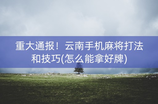 重大通报！云南手机麻将打法和技巧(怎么能拿好牌)