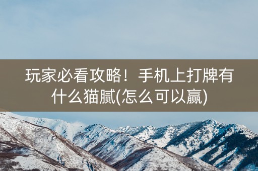 玩家必看攻略！手机上打牌有什么猫腻(怎么可以赢)