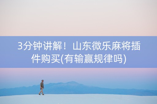 3分钟讲解！山东微乐麻将插件购买(有输赢规律吗)