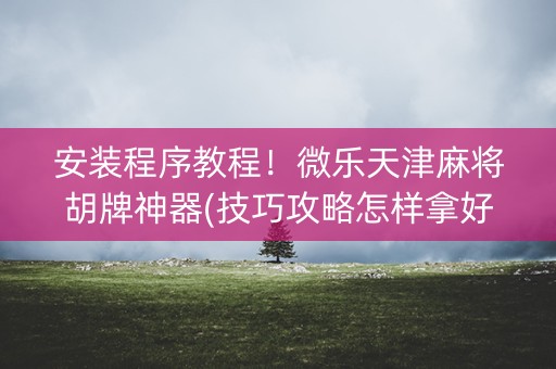 安装程序教程！微乐天津麻将胡牌神器(技巧攻略怎样拿好牌)