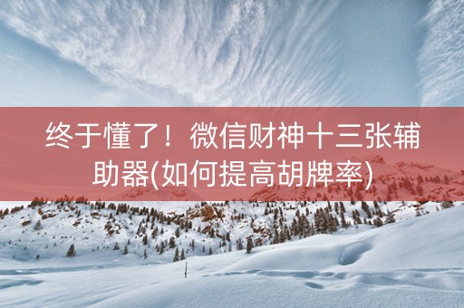 终于懂了！微信财神十三张辅助器(如何提高胡牌率)