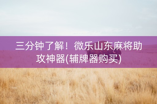三分钟了解！微乐山东麻将助攻神器(辅牌器购买)