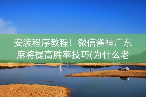 安装程序教程！微信雀神广东麻将提高胜率技巧(为什么老输)