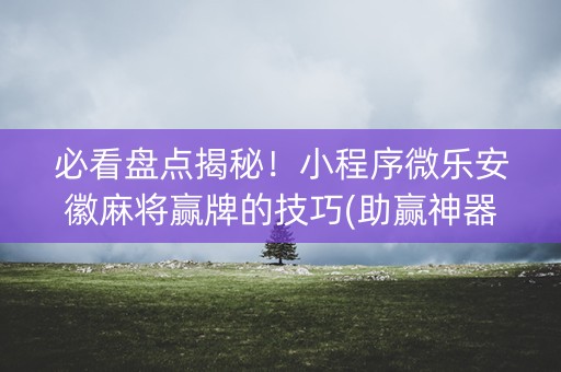 必看盘点揭秘！小程序微乐安徽麻将赢牌的技巧(助赢神器购买)