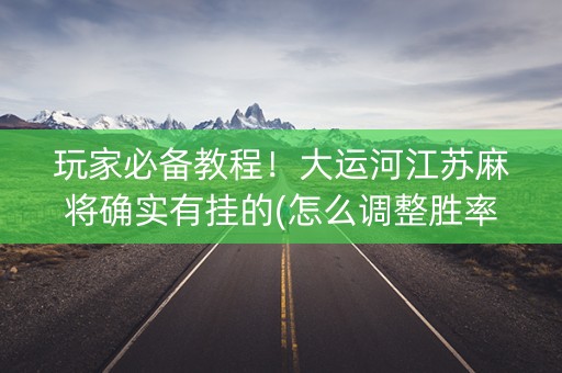 玩家必备教程！大运河江苏麻将确实有挂的(怎么调整胜率)