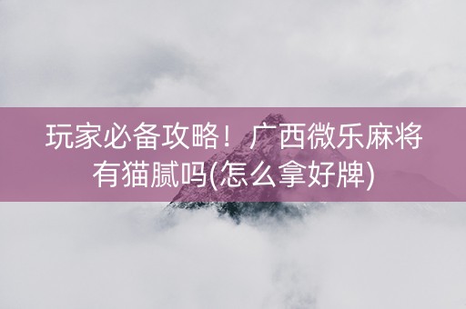 玩家必备攻略！广西微乐麻将有猫腻吗(怎么拿好牌)