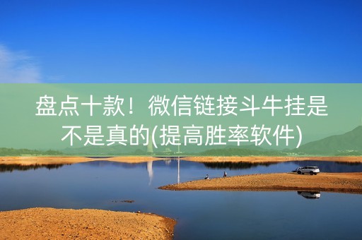 盘点十款！微信链接斗牛挂是不是真的(提高胜率软件)