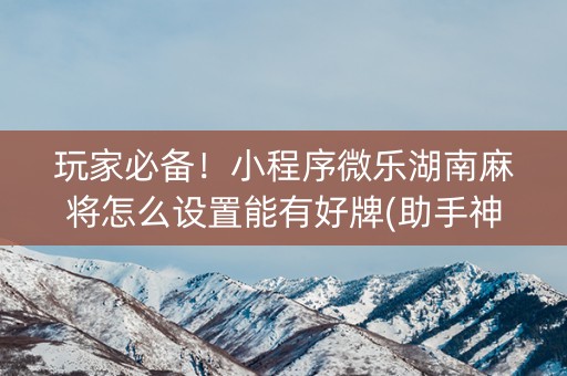 玩家必备！小程序微乐湖南麻将怎么设置能有好牌(助手神器外辅工具)