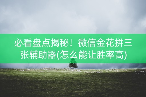 必看盘点揭秘！微信金花拼三张辅助器(怎么能让胜率高)