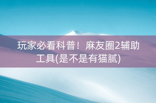 玩家必看科普！麻友圈2辅助工具(是不是有猫腻)