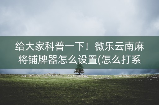给大家科普一下！微乐云南麻将铺牌器怎么设置(怎么打系统才能给好牌)