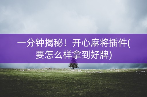 一分钟揭秘！开心麻将插件(要怎么样拿到好牌)